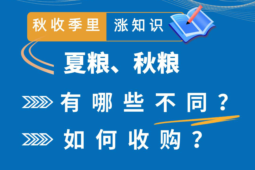 秋收季里漲知識(shí)丨夏糧、秋糧有哪些不同？如何收購(gòu)？