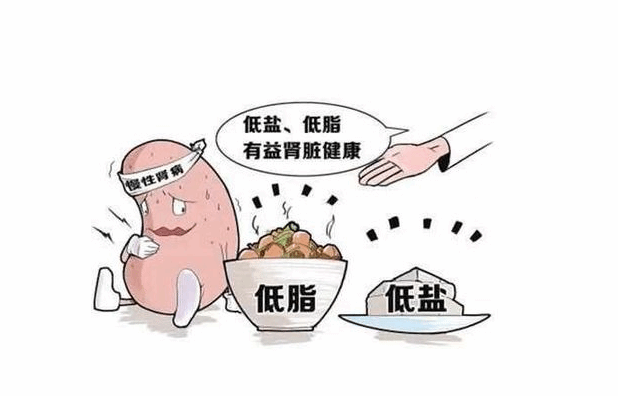 得了肾病多吃什么好？常吃这6种养肾食物有好处