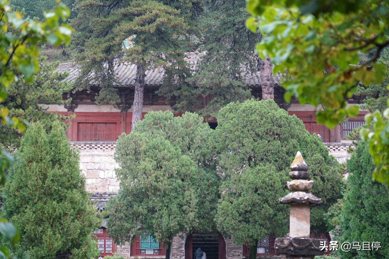 山西有個(gè)古寺，游客不多卻藏有中國(guó)少有的唐代木建筑，關(guān)鍵還免費(fèi)