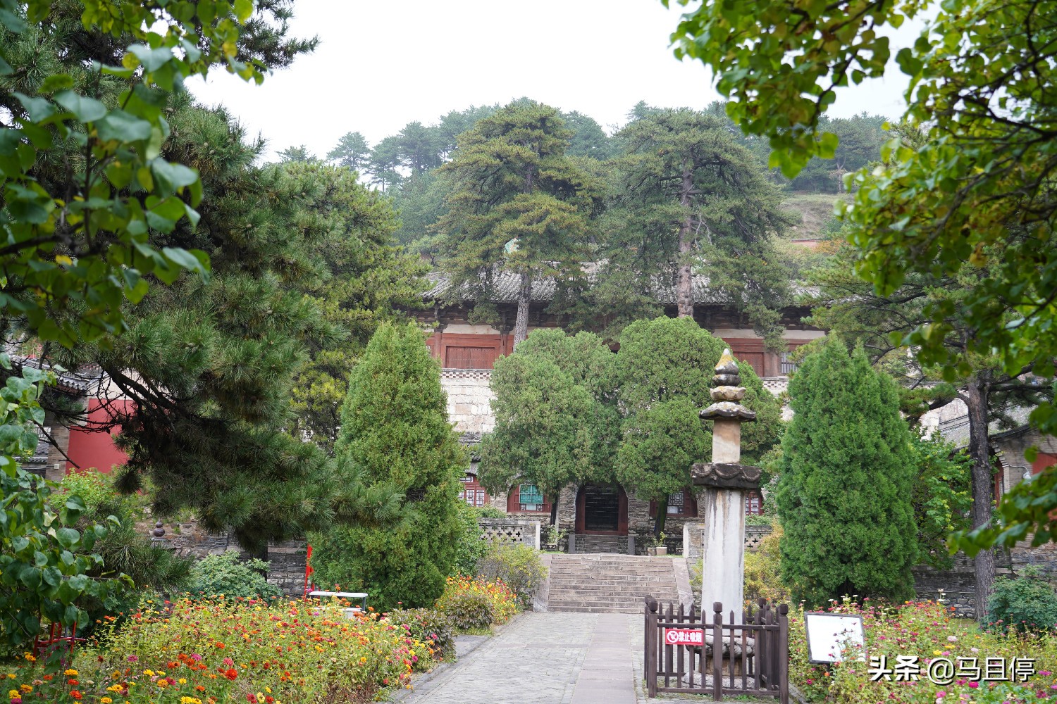 山西有個(gè)古寺，游客不多卻藏有中國(guó)少有的唐代木建筑，關(guān)鍵還免費(fèi)