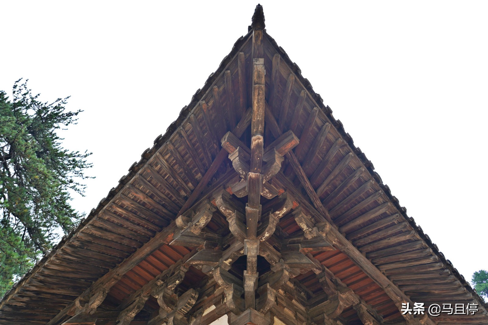 山西有個(gè)古寺，游客不多卻藏有中國(guó)少有的唐代木建筑，關(guān)鍵還免費(fèi)