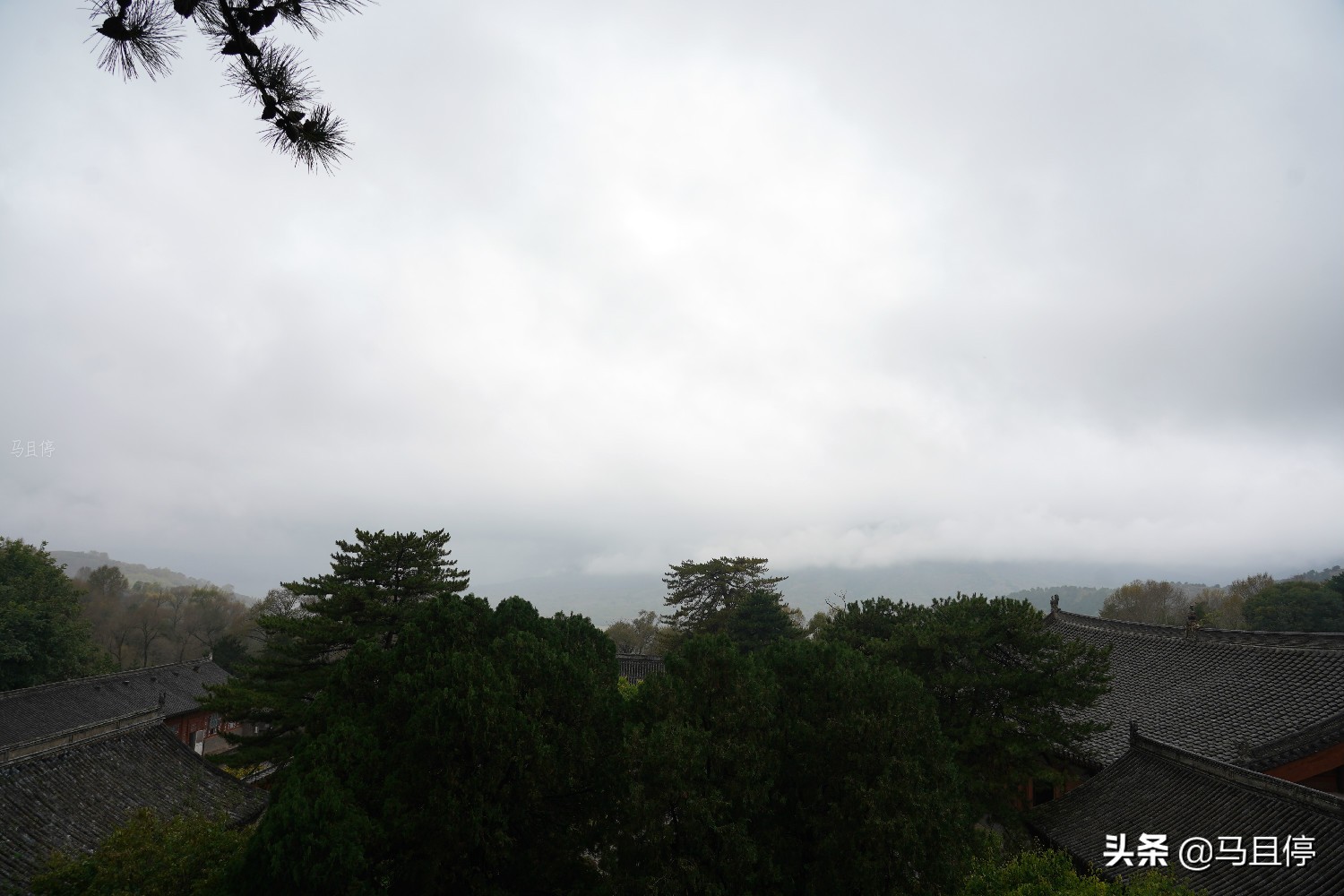 山西有個(gè)古寺，游客不多卻藏有中國(guó)少有的唐代木建筑，關(guān)鍵還免費(fèi)